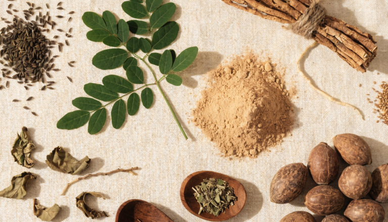 Composition de plantes médicinales africaines