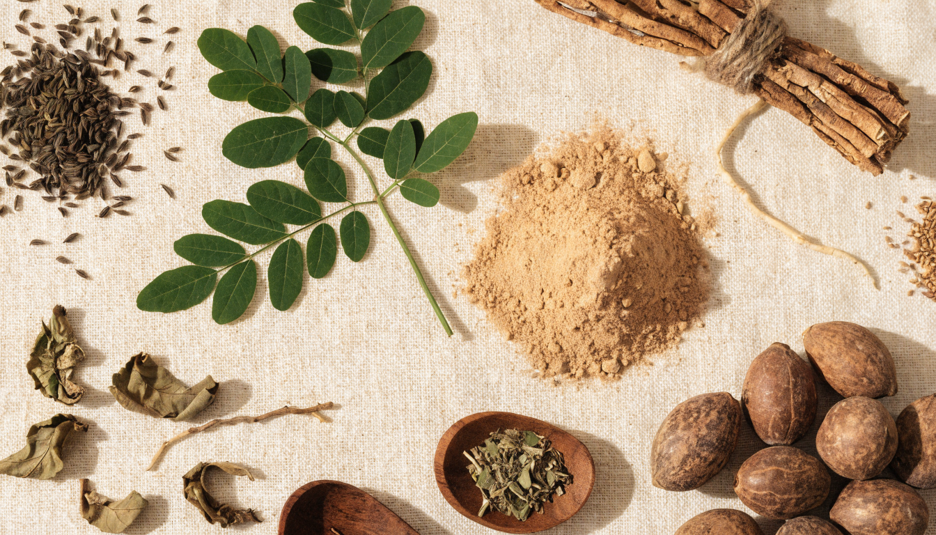 Composition de plantes médicinales africaines